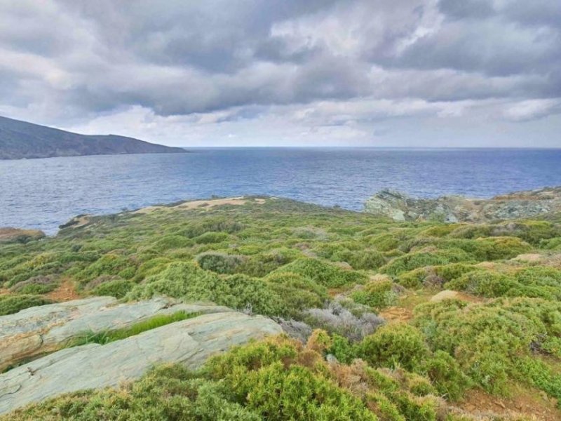 Pelagia Kreta, Ag. Pelagia, Grundstück 44.000m² mit unverbaubarem Meerblick Grundstück kaufen